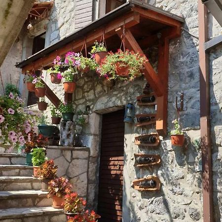 Penzion Aleksa Cetinje Exteriér fotografie