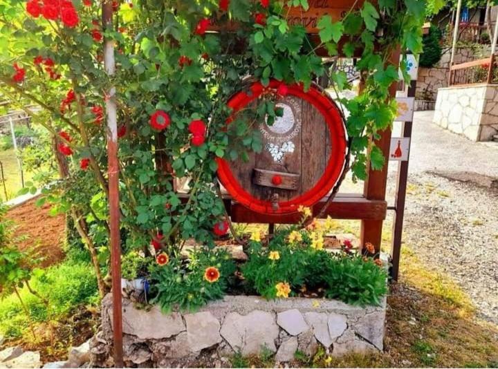 Penzion Aleksa Cetinje Exteriér fotografie