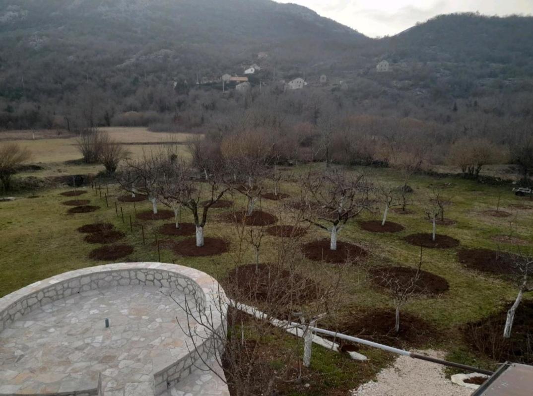 Penzion Aleksa Cetinje Exteriér fotografie