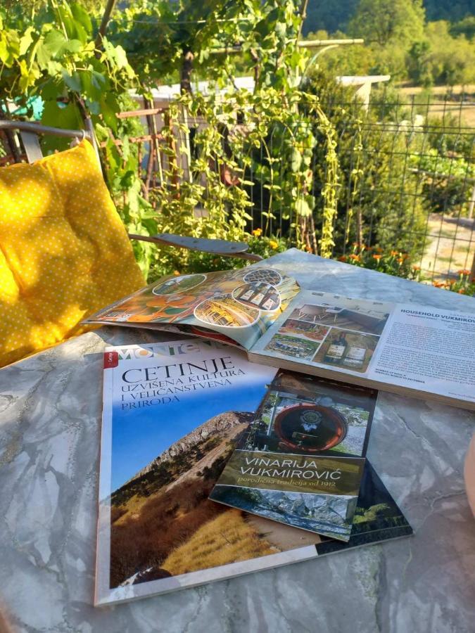Penzion Aleksa Cetinje Exteriér fotografie