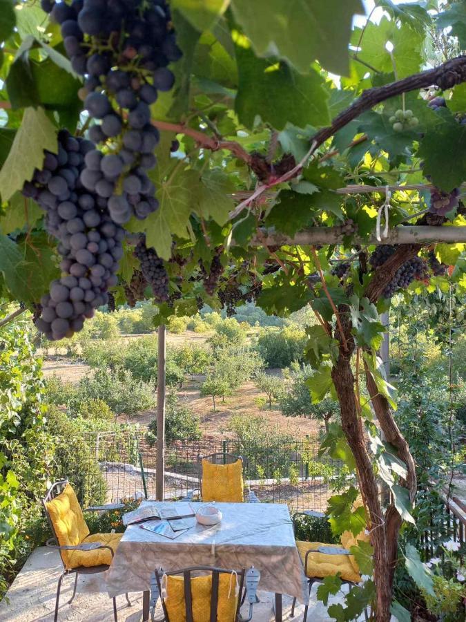 Penzion Aleksa Cetinje Exteriér fotografie