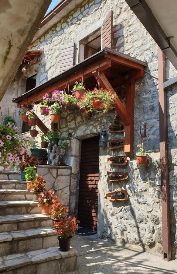 Penzion Aleksa Cetinje Exteriér fotografie